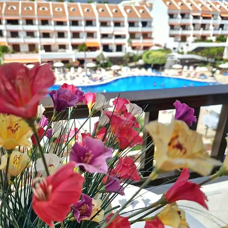 Parque Santiago 1 F-348 By Tenerife Dream Apartment Playa de las Americas (Tenerife)